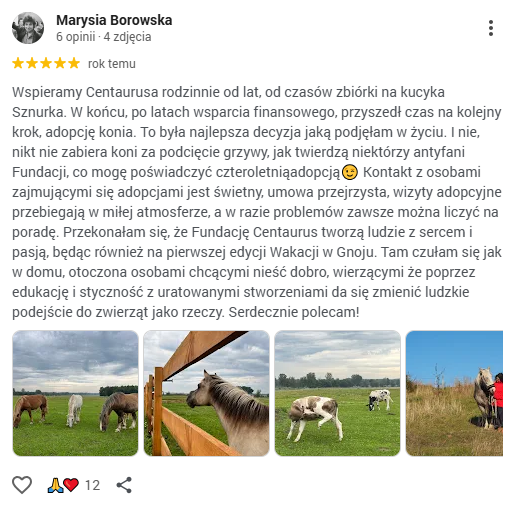 Zrzut ekranu 2026-04-23 082155
