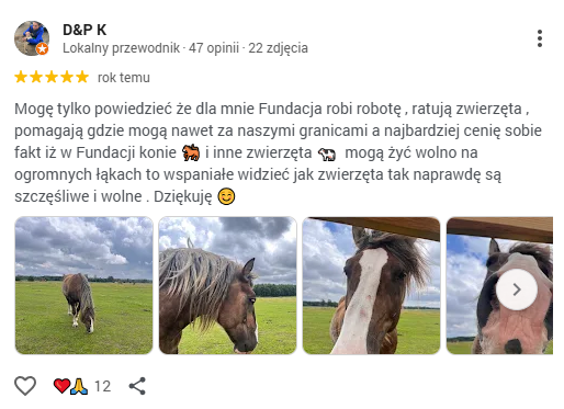 Zrzut ekranu 2026-04-23 082204