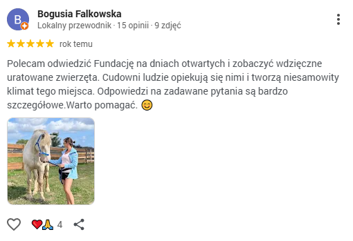 Zrzut ekranu 2026-04-23 082219