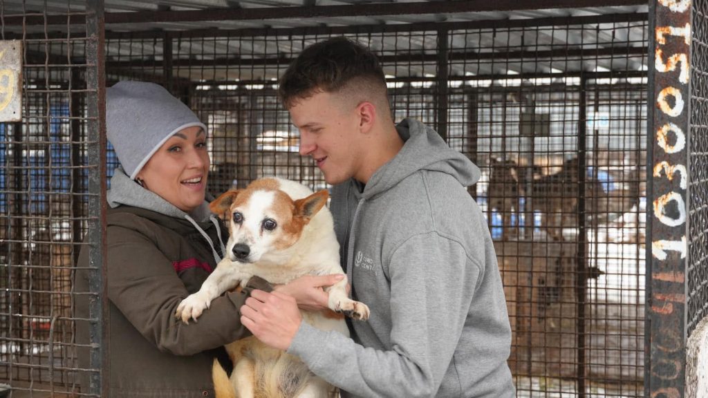 Dank Ihrer Hilfe konnten Tausende Tiere in der Ukraine gerettet werden