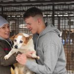 Dank Ihrer Hilfe konnten Tausende Tiere in der Ukraine gerettet werden